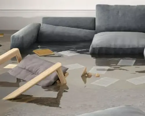 flooded basement