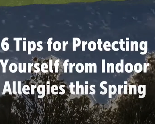 VIDEO: 6 Tips for Protecting Yourself from Indoor Allergies this Spring